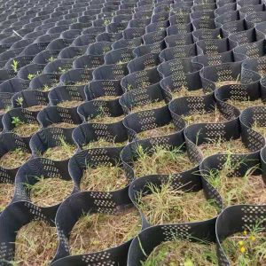 Quality Eco-Friendly 100mm Geocell for Vegetation Erosion Control on Mild Slopes for sale