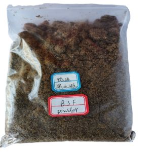 Quality Yellow Dried BSF Larvae with Guaranteed 1 Year Shelf Life for sale