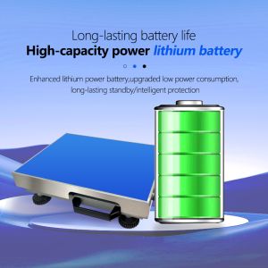 150KG Safe Overload Range SOHE AT 300*400mm Industrial Weighing Platform with