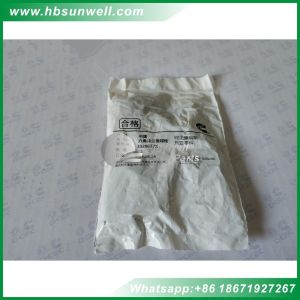 Cummins diesel engine parts ISM QSM M11 L10 long bolt 3896712 cylinder head bolt