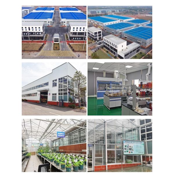 Ph4-6 Amino Plus Foliar Fertilizer 80% Yellow Powder SGS Amino Acid Powder