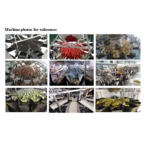 Customized Food Grade Automatic Packaging System For Nuts Candy Bottle