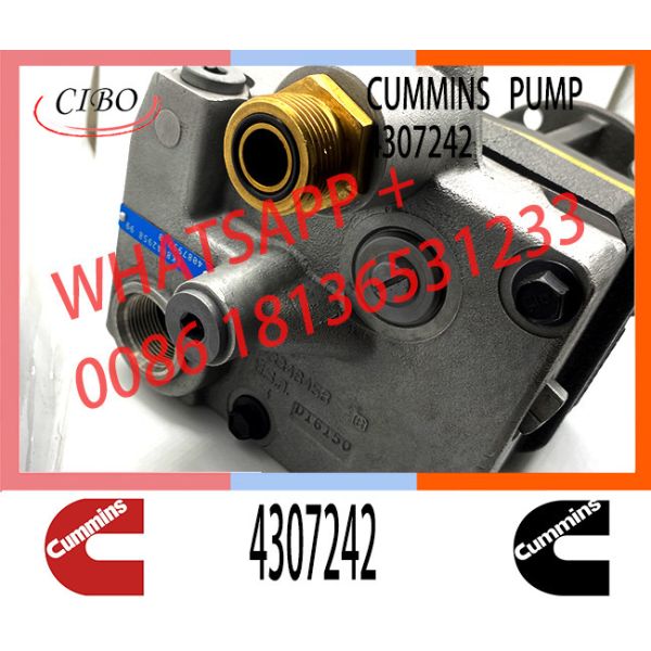 QSK23 PC1250-7 D375A-5 SAA6D170E Diesel Fuel Pump 4087997 4307242 4025674 4076753 4010566 4009881 4903531 4025674 430724