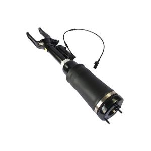 A2513203013 Air Suspension Shock Absorber Mercedes Benz R320 R350 R500 R Class