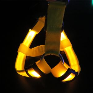 LED dog leash, LED pet products