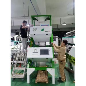 Three Layer High Sorting Capacity Green Black Tea Color Sorter 99.99% Accuracy