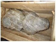 Quality Replacement parts of Komatsu Shaft 155-15-12212 for sale