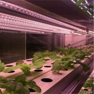 Double Layer Water Sprayer Controlled Illuminating Greenhouse for Planting