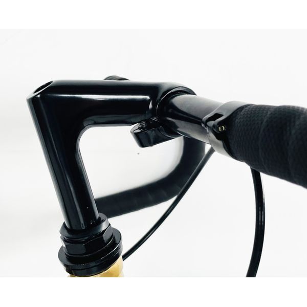 OEM Color 700C Lugged Frame Fixie Gear Bicycle with Aluminium Parts and Steel Frame