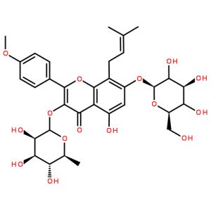 Powder Form Herb Epimedium 20% icariin extract--Herb Epimedium