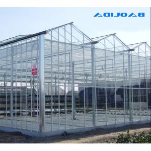 Polycarbonate Hollow Board Glass Industrial Outdoor Multispan Glass Professional
