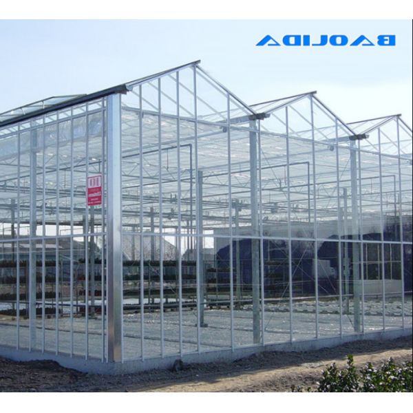 Polycarbonate Hollow Board Glass Industrial Outdoor Multispan Glass Professional