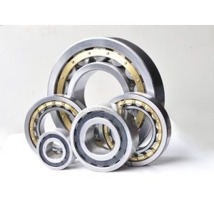 Double Row Chrome Steel Bearings Open Seals Gearbox Bearing NJ2320