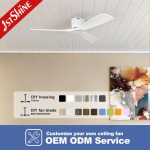 Summer And Winter Decorative ABS Plastic Ceiling Fan 4h Timing For Home Hotel