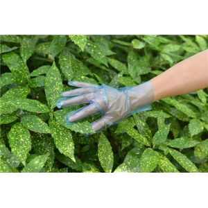 China Hygienic Anti Allergic Disposable TPE Gloves For Household Cleaning on sale