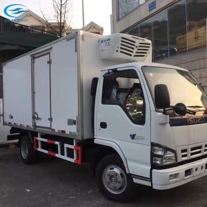 Truck Body 2393mm 40hc Refrigerated Storage Containers