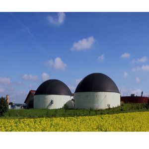 Anaerobic Gas Extraction Biogas Digester Restaurant Kitchen Waste Treatment