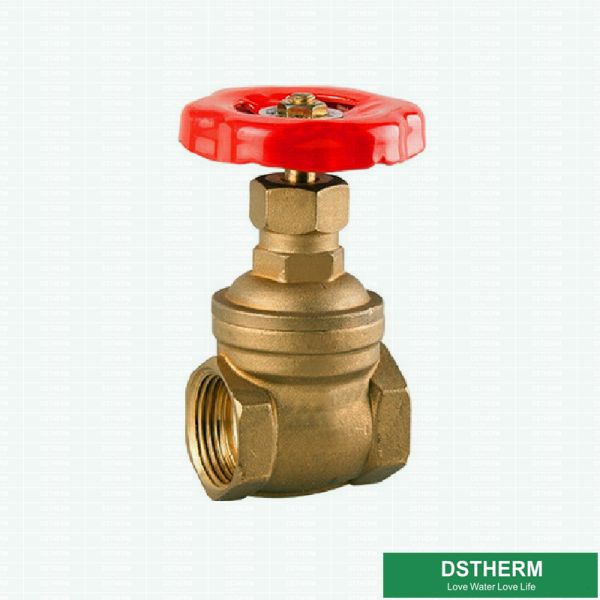 200 WOG 2 Inch Red Iron Handle Customized BSPT AND NPT Heavier Style Brass Gate Valve