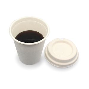 BSCI Biodegradable Sugarcane Bagasse Cup Sustainable 2oz Sauce Container