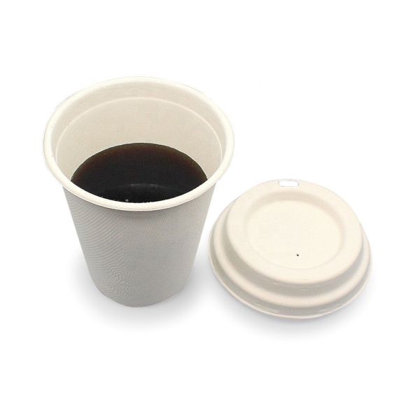 BSCI Biodegradable Sugarcane Bagasse Cup Sustainable 2oz Sauce Container