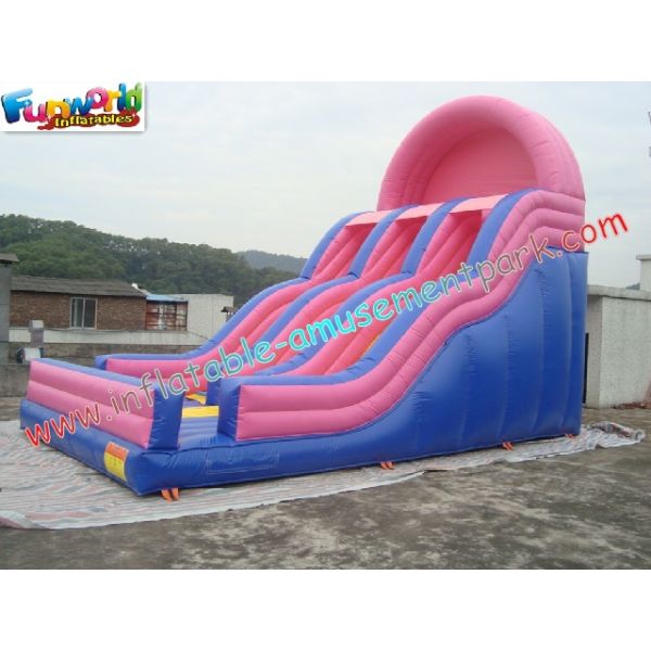 Popular Commercial Inflatable Slide Double Line , Giant Slide Toys