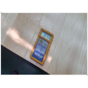 Canada Maple HDF engineered flooring, 3-layer, UV lacquer