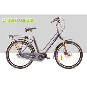 250W 36V Urban City Electric Bike 7.8Ah Samsung Cells