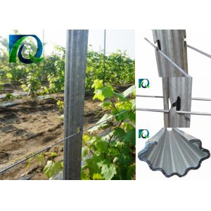 Agricultural Customized Vineyard Trellis Posts , Grape Support Trellis Poles