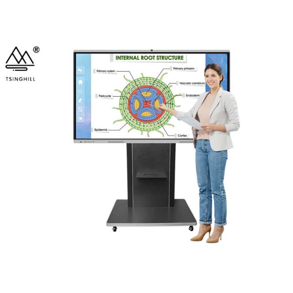 Buy 55 Inch Education Interactive Whiteboard Touch Screen Smart TV at wholesale prices
