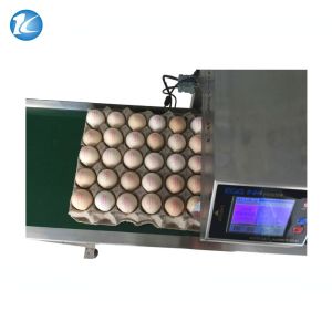 Automatic Egg Inkjet Date Code Printer , Inkjet Marking Equipment