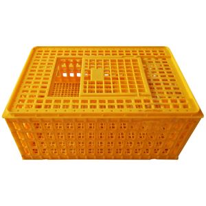 China Poultry Broiler Quail Pigeon Plastic Chicken Transport Cages on sale