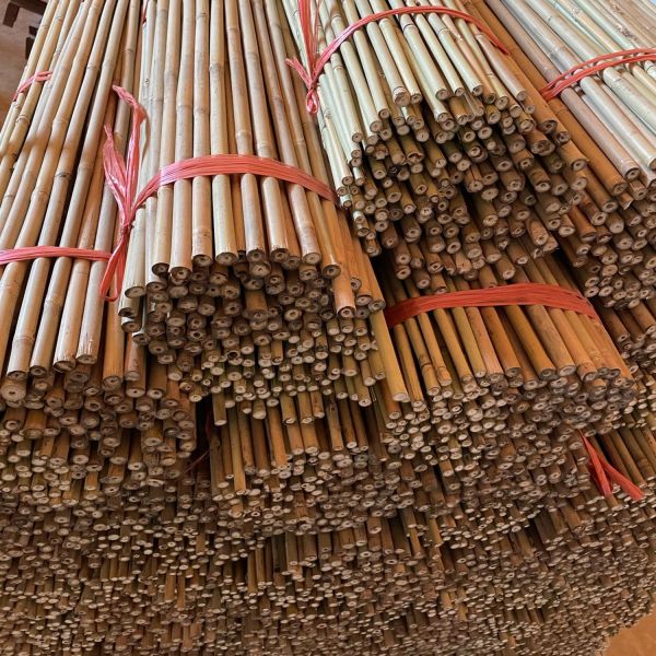 Tonkin Bamboo Cane for Plants Grow Support Custom Size Bamboo Stick
