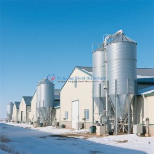 Quality Steel Metal Frame Prefabricated Steel Structure Chicken Farm Poultry House for sale