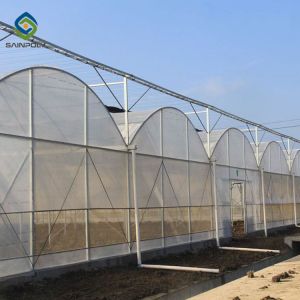Elasticity 2.5mm 120km/H Multi Span Film Greenhouse