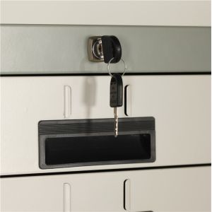 Bank And Office Use 10 Drawer Locker Cabinet Metal Steel File Documents Storage