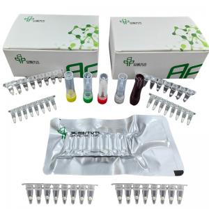 Quality EXO H Pylori Detection Kit With Isothermal Fluorescence Detector for sale