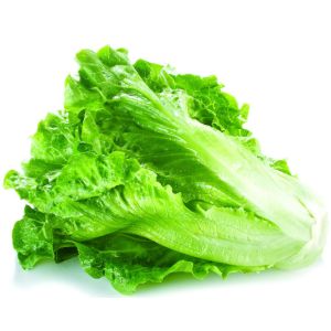 10-70m/min Speed X Ray Inspection System for Fruit And Vegetable Food Foreign