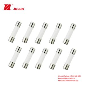 Automotive OEM Blade Fuses with CE Certification for Vehicle Use