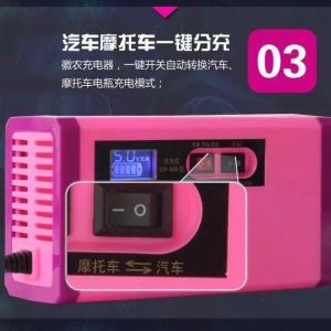 Smart Lead Acid Motorbike Battery Trickle Charger 220v Dc For Electric Scooter