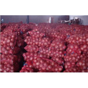 7cm Natural Fresh Onion