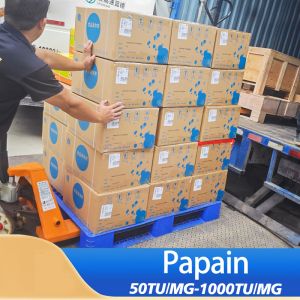 Pharmaceutical Grade Papaya Contains Papain Customized Papain Food Grade