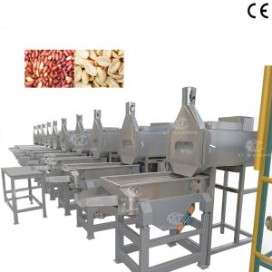 Full Automatic High Blanching Rate Peanut Slitting Blanching Machine