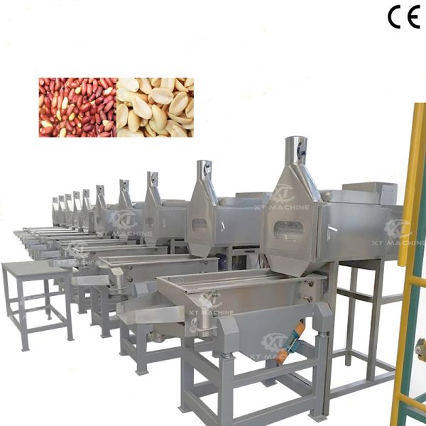 Buy Full Automatic High Blanching Rate Peanut Slitting Blanching Machine at wholesale prices