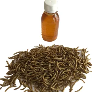 Quality Country of Origin - 2-Year Shelf Life Mealworm Oil for Pet Food for sale