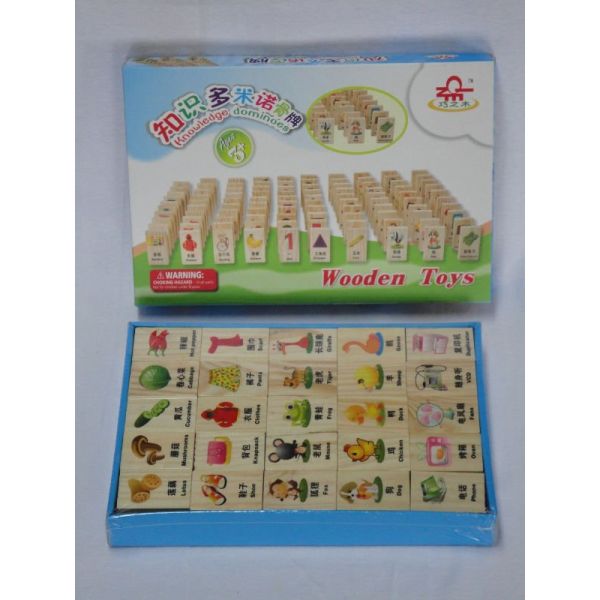 Best Early Childhood Educational Toys Enlighten Building Blocks Knowledge Domino