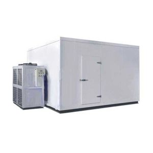 Commercial Freezer Room Warehouse With Moisture - Proof Cold Light