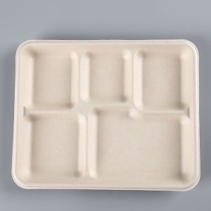 biodegradable tableware Rectangle 5 division meal snack Tray