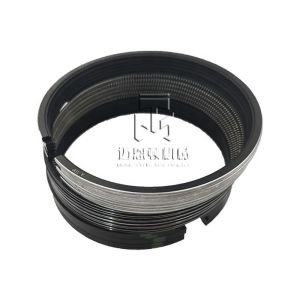 Piston Set 04253313 04501348 04253311 04501349 04207594 04207775 04253314