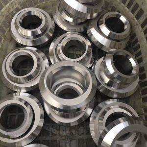 ASTM A182 F304 / F304L Stainless Steel Forged Fittings Weldolet Threadolet