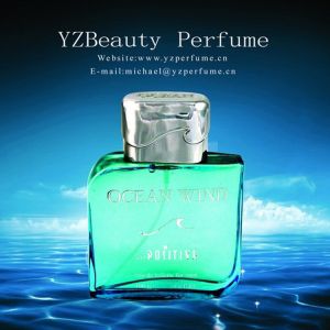 PLASTIC LENTICULAR Custom Advertising Poster 3D Lenticular Printing Lenticular